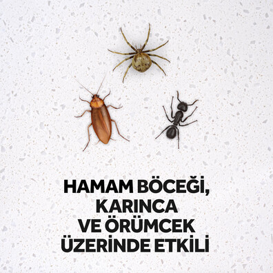 Raid Boceksavar Max 300 Ml Istegelsin Taptaze Supermarket